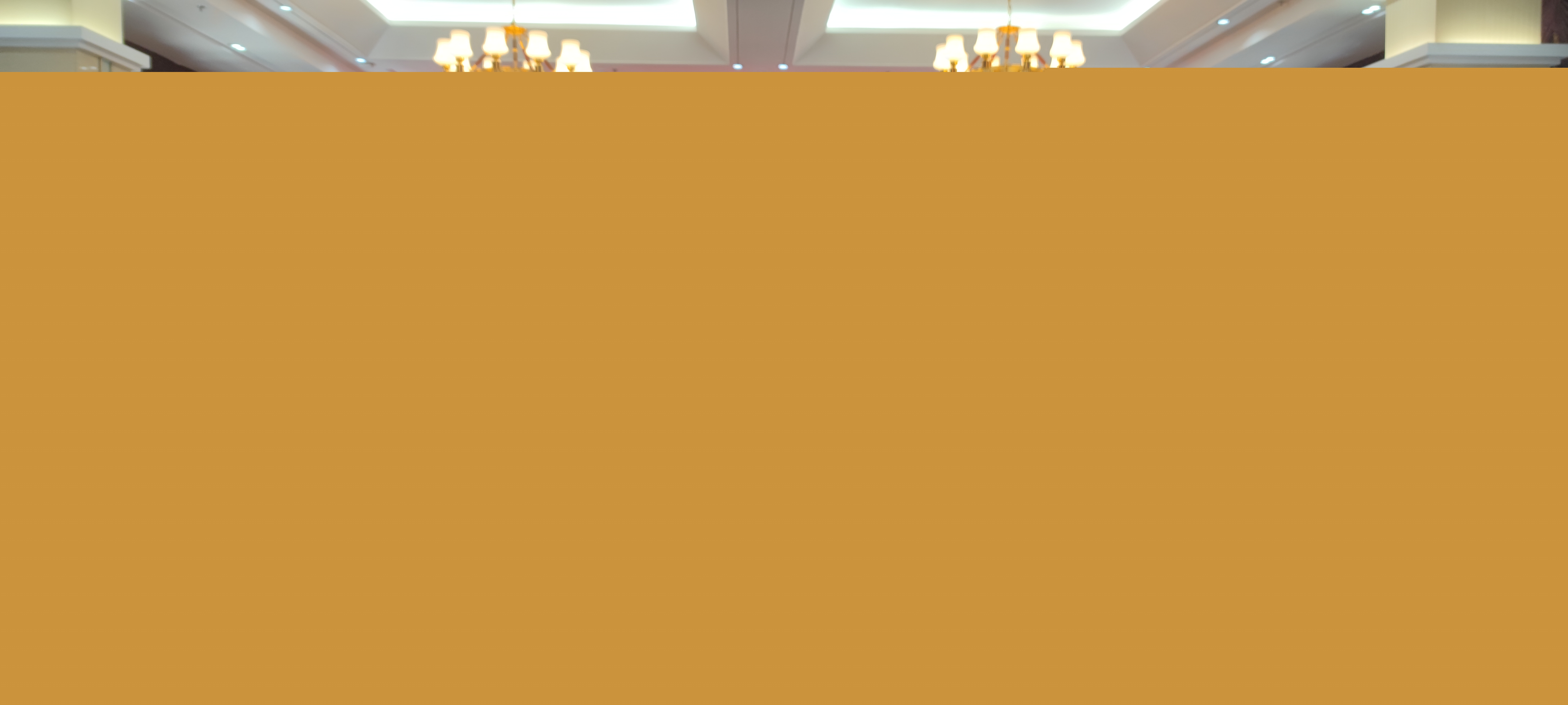 d21d9189a9e44fbaaef40c5270783210.jpeg