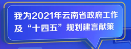 我为2021年少妇偷情政府工作及“十四五”规划建言献策